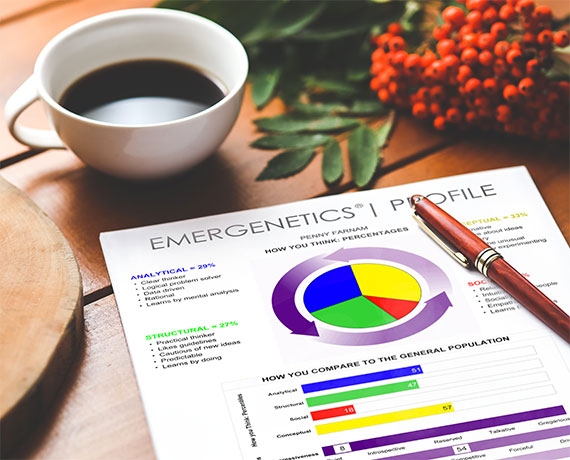 Image of Emergenetics Profile